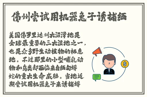 一面亲上边一面膜带揉胸